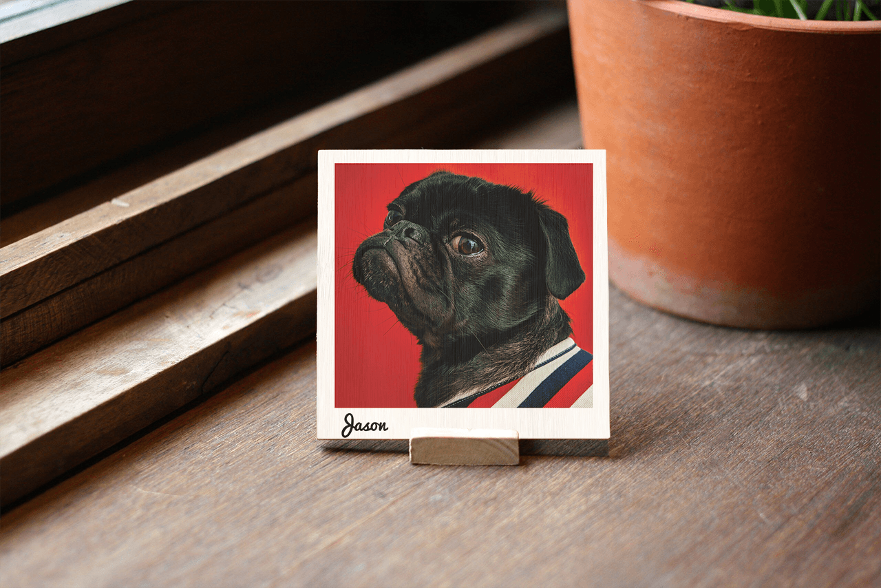Postcard Vuông - Polaroid
