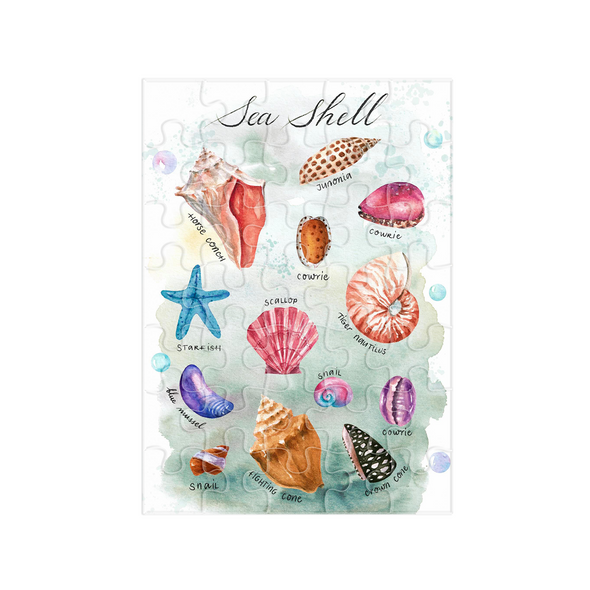 Bộ xếp hình Sea Shell - Mảnh lớn