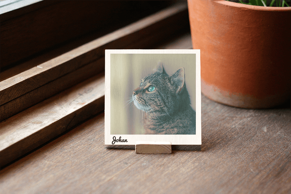 Postcard Vuông - Polaroid